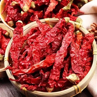 dried peppers dried peppers